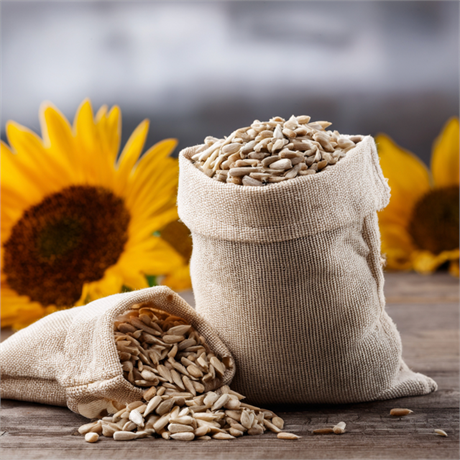 Graines de tournesol décortiquées BIO